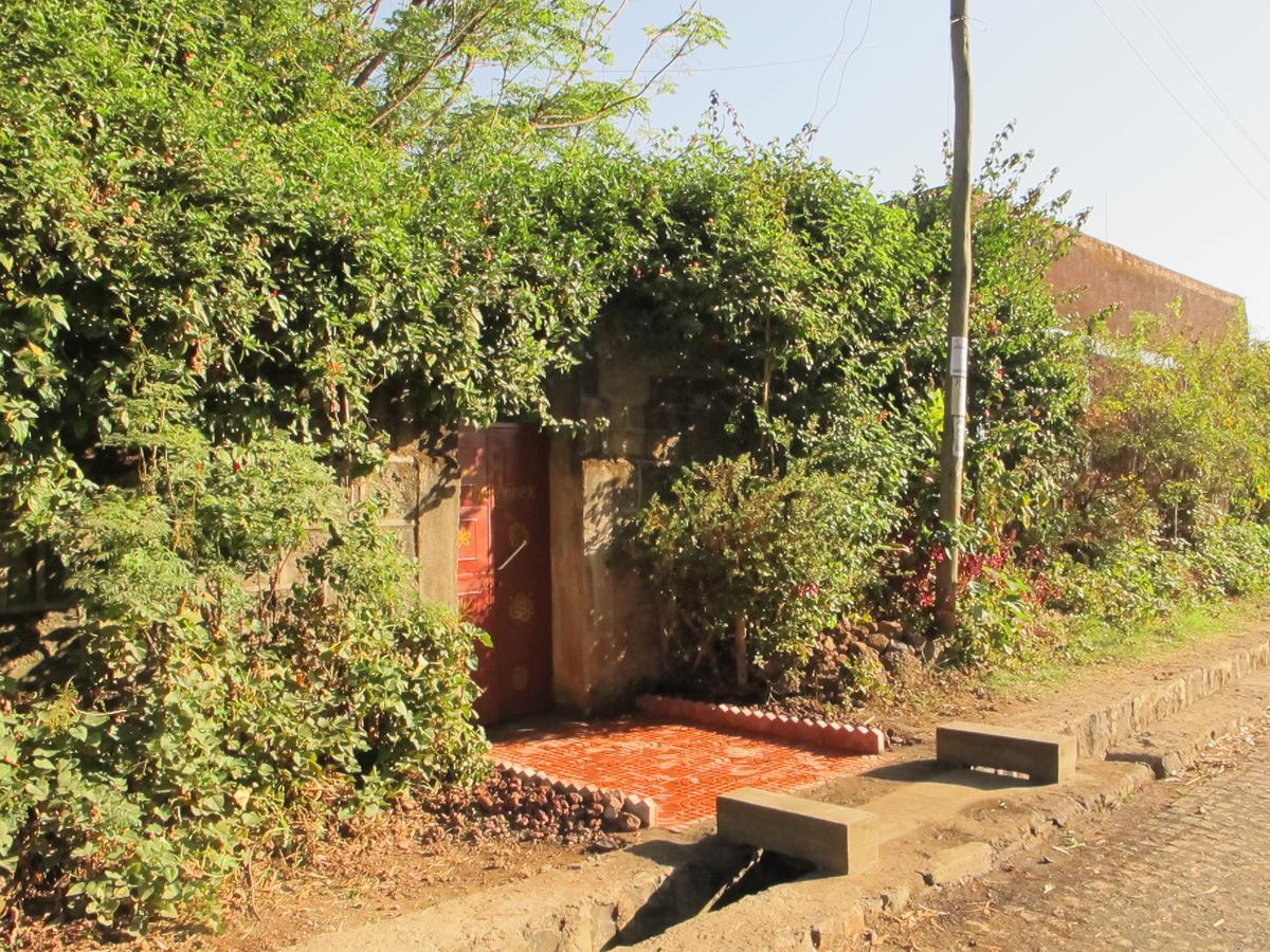 B&B The Annex Bahir Dar Exterior foto